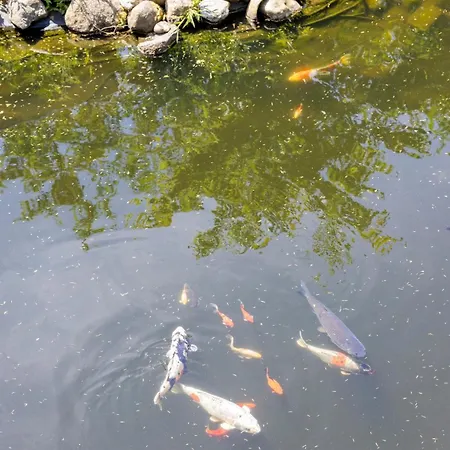 10 Min Walk From Center Сasa de vacaciones *